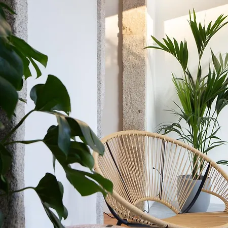 Trindade Premium Suites & Apartments Guest house 2*